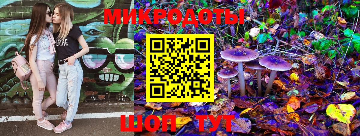 Галлюциногенные грибы Psilocybine cubensis Обнинск